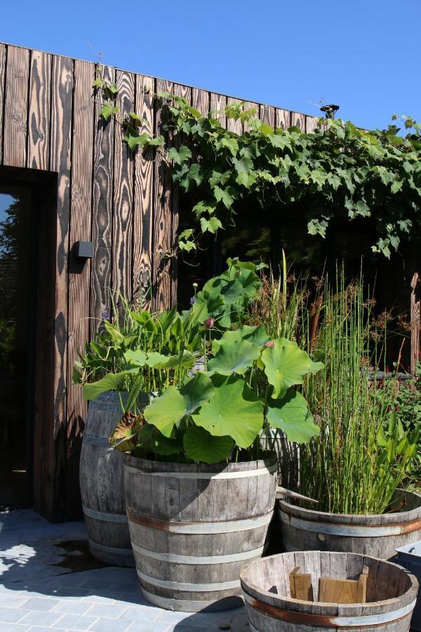 Clos Des Poulies La Ferte-Saint-Aubin Exterior photo